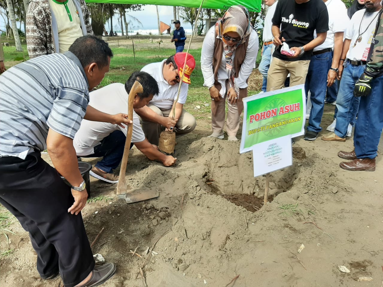 Penanaman Pohon Asuh