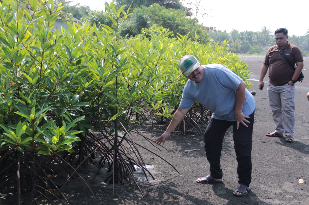 Meninjau Lokasi Penanaman Mangrove Pandu Laut