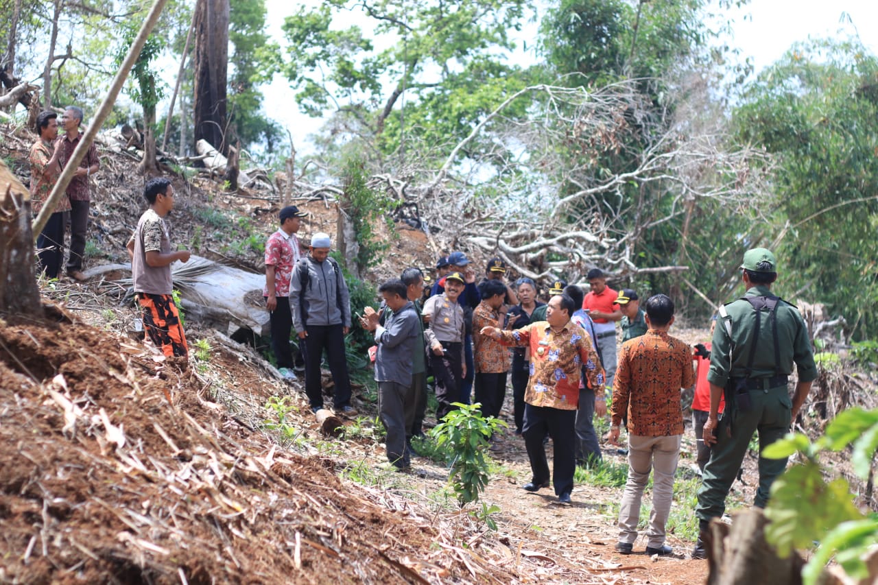 Pemantauan dan monitoring Lokasi Pembalakan Liar