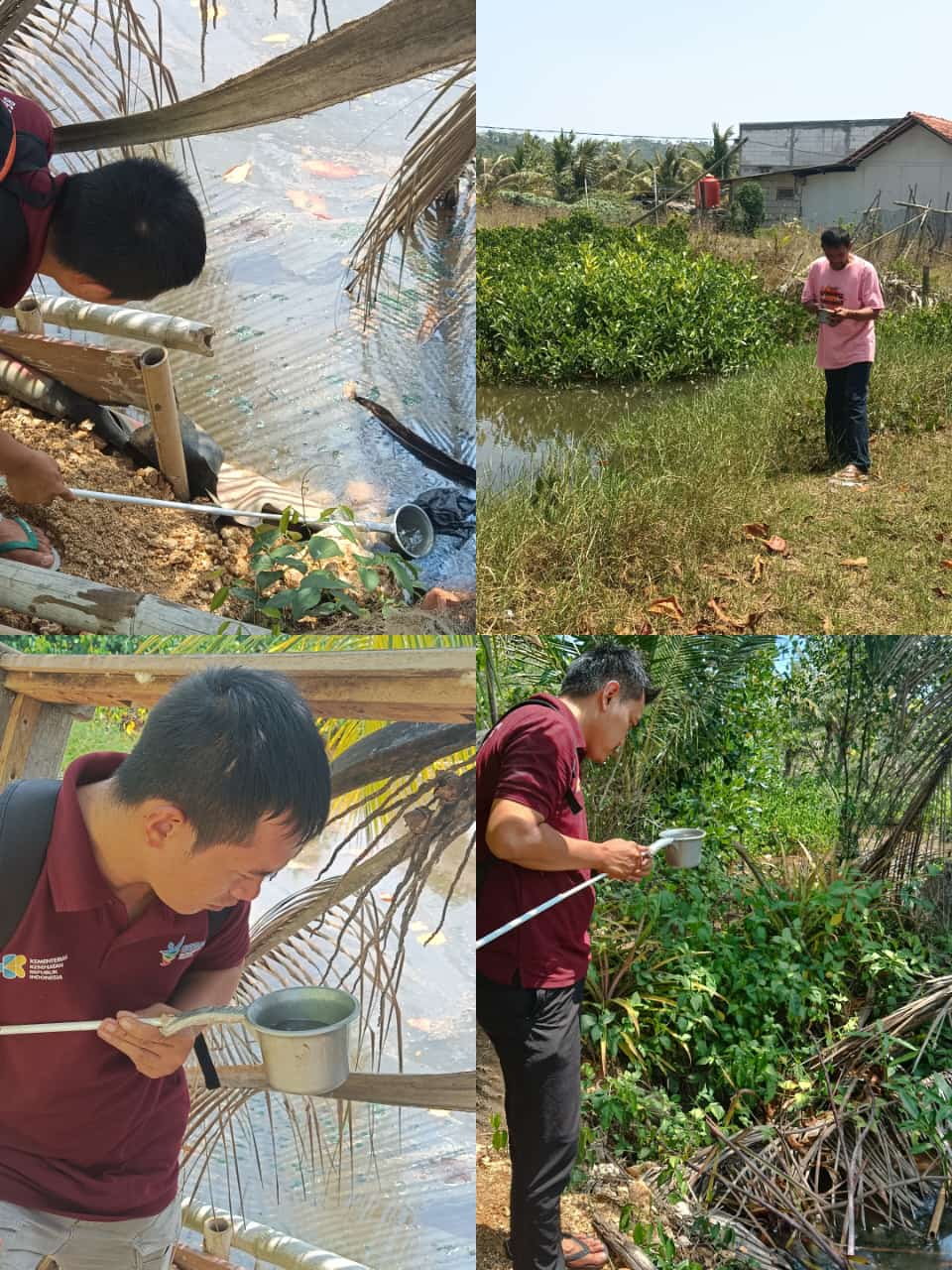Pemantauan Jentik Anopheles Pada Breeding Places-P2 Malaria