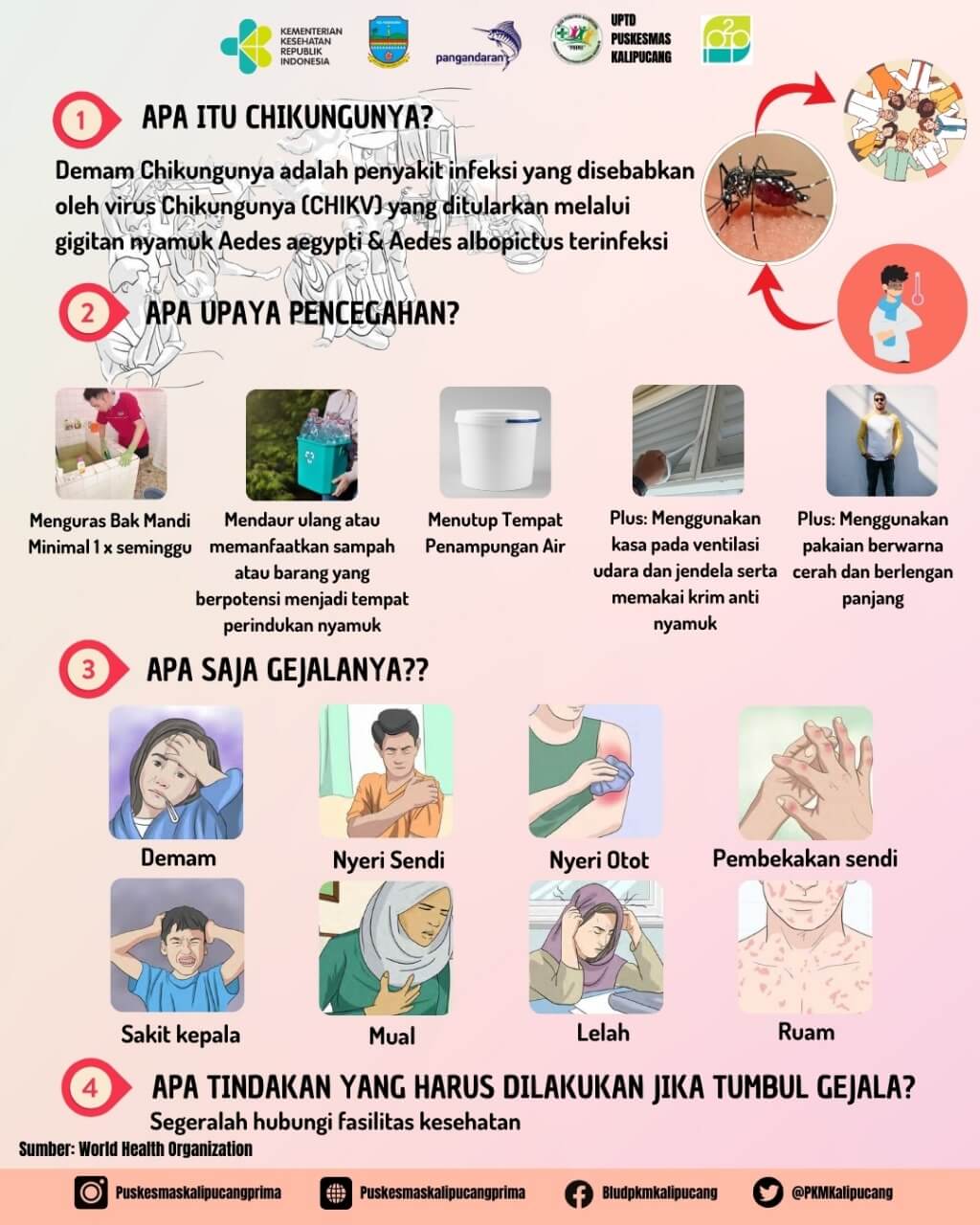 Leaflet Pengendalian Chikungunya
