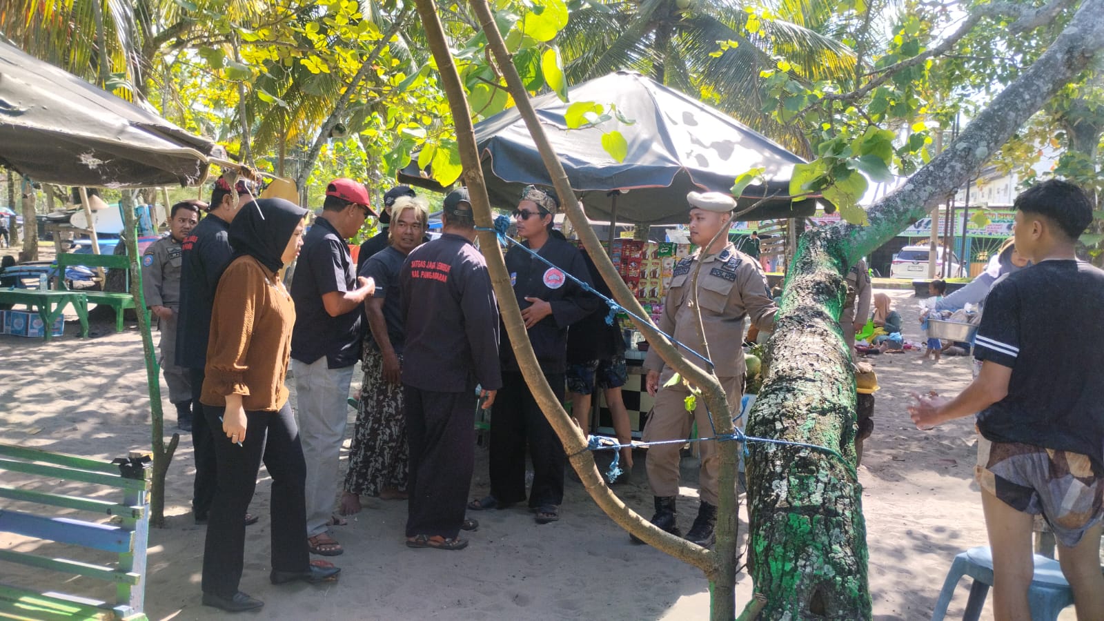 BIDANG TIBUM dan LINMAS